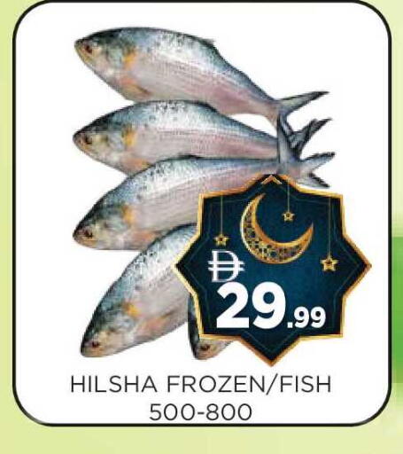 available at عين المدينة هايبرماركت in الإمارات العربية المتحدة , الامارات - الشارقة / عجمان