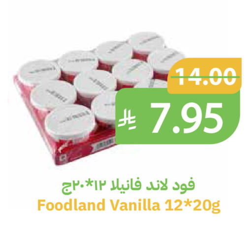 Vanilla available at Qateba Markets in KSA, Saudi Arabia, Saudi - Buraidah