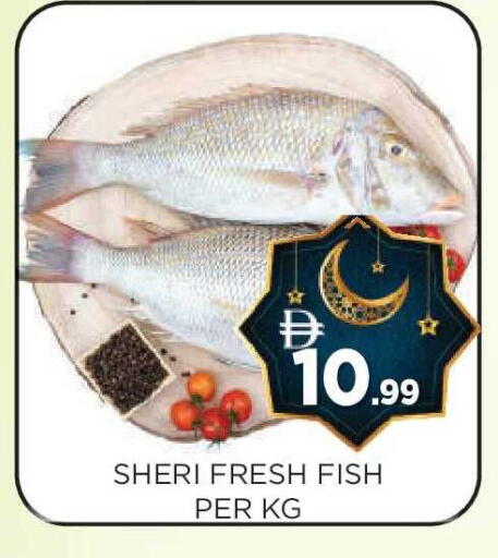 available at عين المدينة هايبرماركت in الإمارات العربية المتحدة , الامارات - الشارقة / عجمان