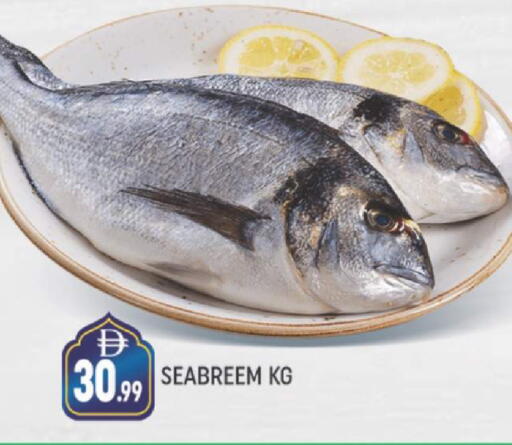 available at AL MADINA (Dubai) in UAE - Dubai