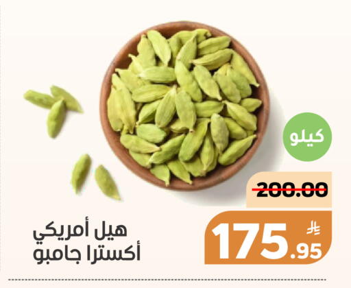 Apple available at أسواق جرين أبل in مملكة العربية السعودية, السعودية, سعودية - الأحساء‎