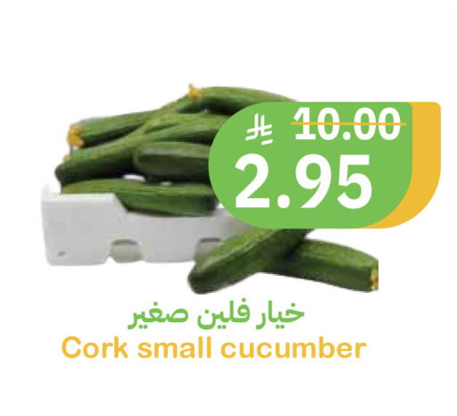 Cucumber available at Qateba Markets in KSA, Saudi Arabia, Saudi - Buraidah