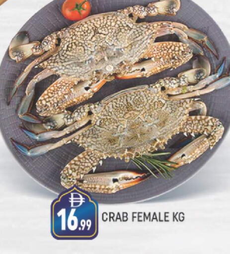 available at AL MADINA (Dubai) in UAE - Dubai