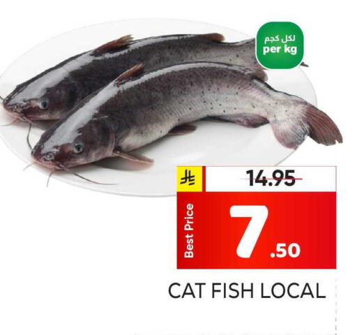 available at مكة هايبرماركت in مملكة العربية السعودية, السعودية, سعودية - الرياض