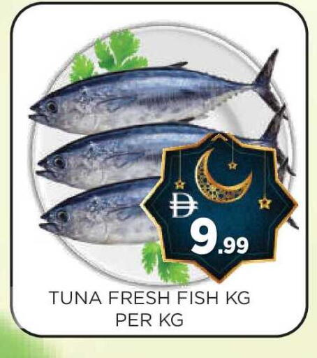 available at عين المدينة هايبرماركت in الإمارات العربية المتحدة , الامارات - الشارقة / عجمان