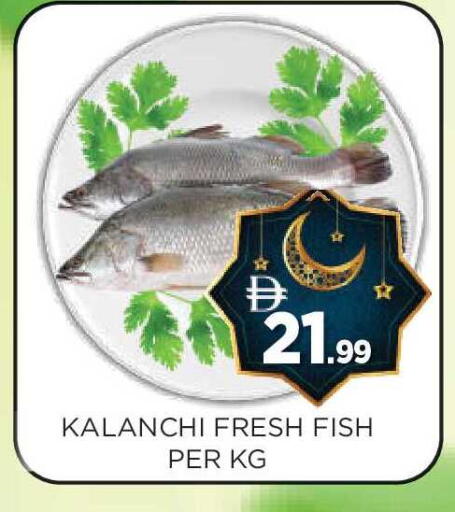 available at عين المدينة هايبرماركت in الإمارات العربية المتحدة , الامارات - الشارقة / عجمان