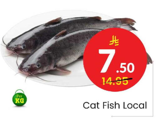 available at Elite 10 Hypermarket in KSA, Saudi Arabia, Saudi - Riyadh