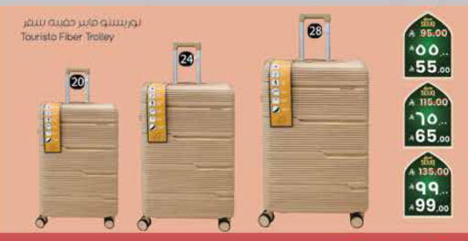 available at City Flower in KSA, Saudi Arabia, Saudi - Sakaka