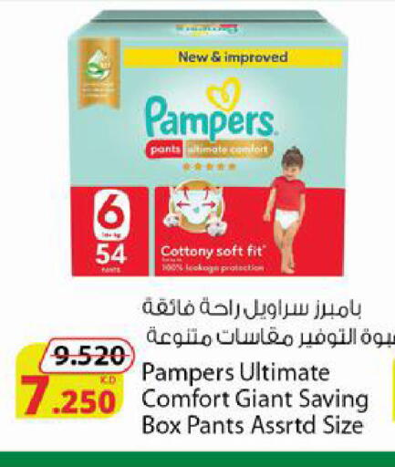 available at Agricultural Food Products Co. in Kuwait - Ahmadi Governorate