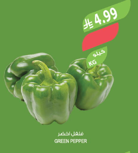 Pepper available at Farm  in KSA, Saudi Arabia, Saudi - Tabuk