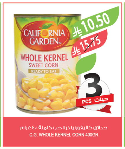 available at المزرعة in مملكة العربية السعودية, السعودية, سعودية - تبوك