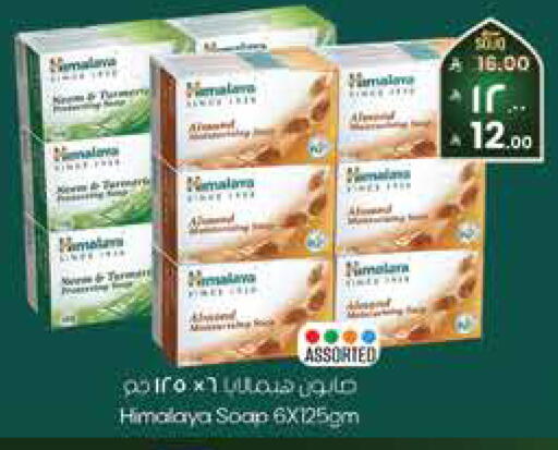 available at City Flower in KSA, Saudi Arabia, Saudi - Sakaka