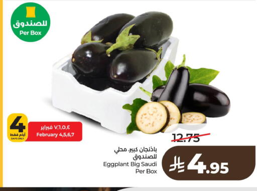 Eggplant from Saudi Arabia available at لولو هايبرماركت in مملكة العربية السعودية, السعودية, سعودية - الخبر‎