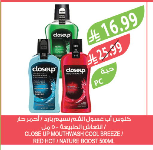 available at المزرعة in مملكة العربية السعودية, السعودية, سعودية - تبوك