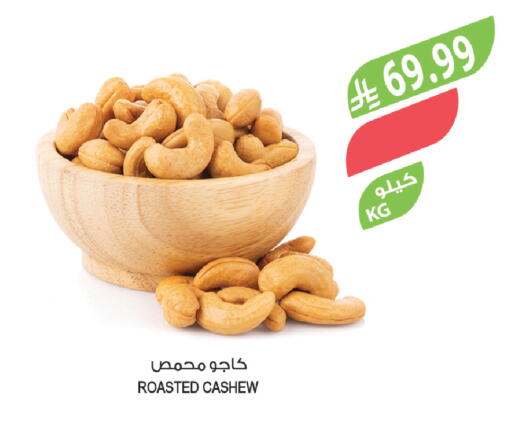available at المزرعة in مملكة العربية السعودية, السعودية, سعودية - تبوك