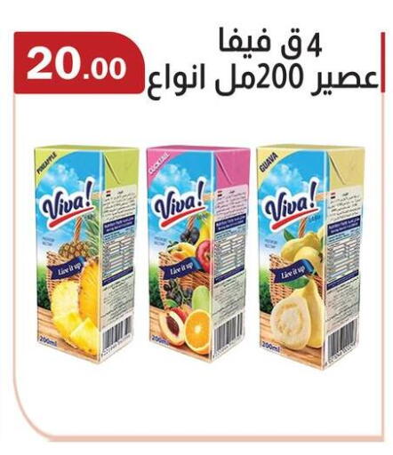 Pineapple Guava available at ABA market in Egypt - Cairo