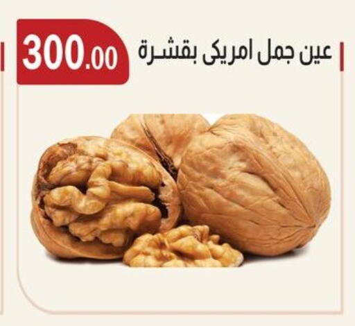 available at ABA market in Egypt - Cairo