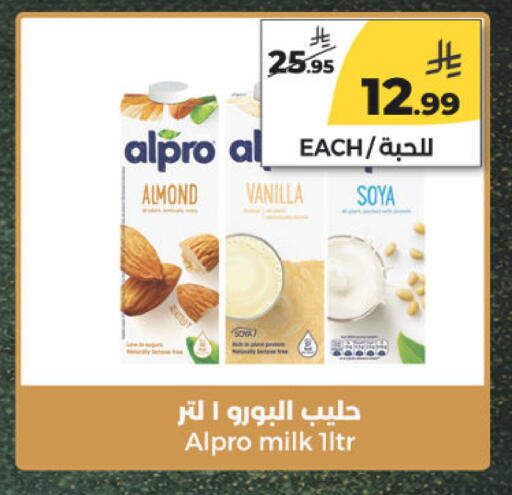 Vanilla available at  دانة طازج يوميا in مملكة العربية السعودية, السعودية, سعودية - الرياض