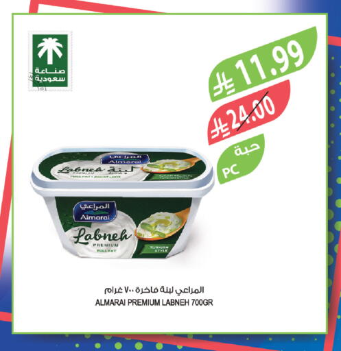 available at المزرعة in مملكة العربية السعودية, السعودية, سعودية - تبوك
