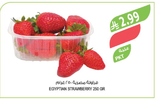 Strawberry from Egypt available at المزرعة in مملكة العربية السعودية, السعودية, سعودية - تبوك