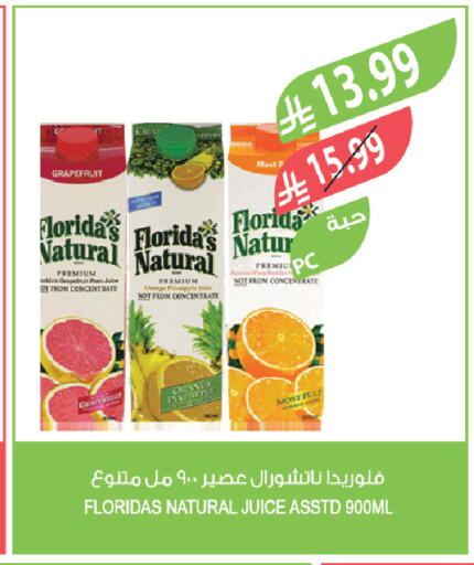 Pineapple available at المزرعة in مملكة العربية السعودية, السعودية, سعودية - تبوك