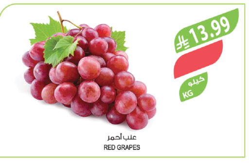 Grapes available at Farm  in KSA, Saudi Arabia, Saudi - Al Khobar