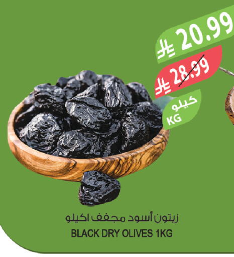 available at المزرعة in مملكة العربية السعودية, السعودية, سعودية - تبوك