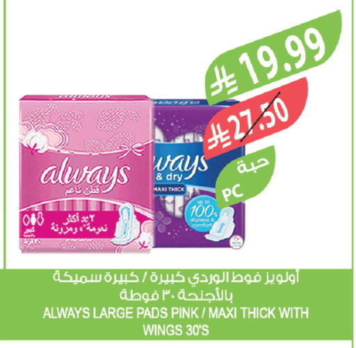 available at المزرعة in مملكة العربية السعودية, السعودية, سعودية - تبوك