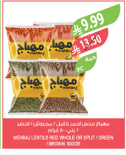 available at المزرعة in مملكة العربية السعودية, السعودية, سعودية - تبوك