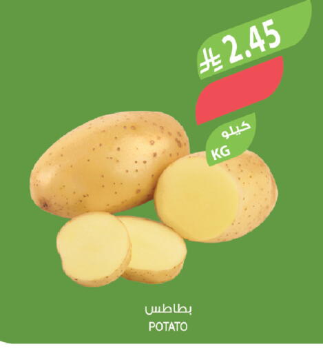 Potato available at المزرعة in مملكة العربية السعودية, السعودية, سعودية - سكاكا