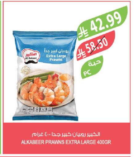 available at المزرعة in مملكة العربية السعودية, السعودية, سعودية - تبوك