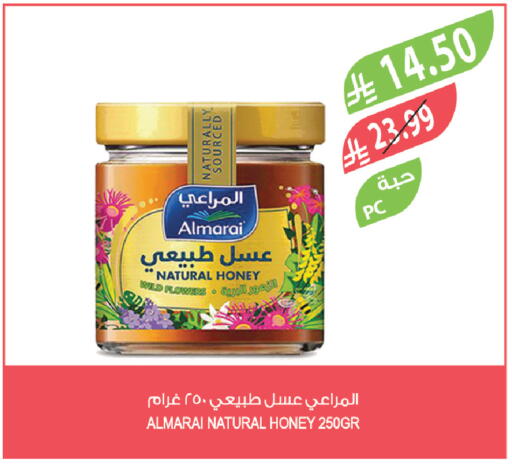 available at المزرعة in مملكة العربية السعودية, السعودية, سعودية - تبوك