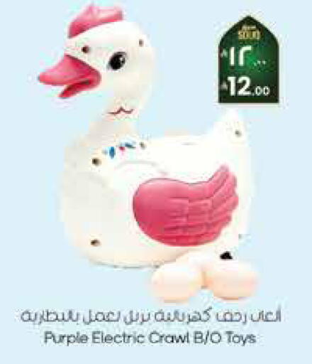 available at City Flower in KSA, Saudi Arabia, Saudi - Sakaka