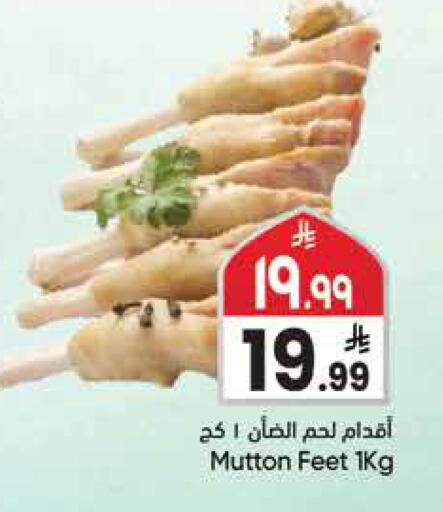 available at City Flower in KSA, Saudi Arabia, Saudi - Sakaka