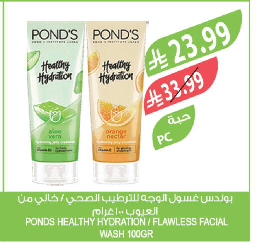 Orange available at المزرعة in مملكة العربية السعودية, السعودية, سعودية - تبوك