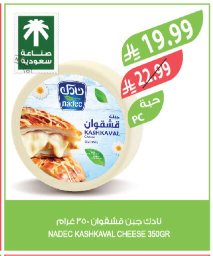 available at المزرعة in مملكة العربية السعودية, السعودية, سعودية - تبوك