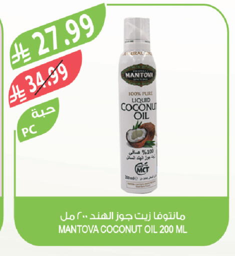 Coconut available at المزرعة in مملكة العربية السعودية, السعودية, سعودية - تبوك