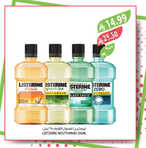 Mint available at المزرعة in مملكة العربية السعودية, السعودية, سعودية - تبوك