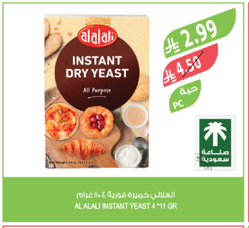 available at المزرعة in مملكة العربية السعودية, السعودية, سعودية - تبوك