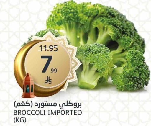 Broccoli available at مركز الجزيرة للتسوق in مملكة العربية السعودية, السعودية, سعودية - الرياض