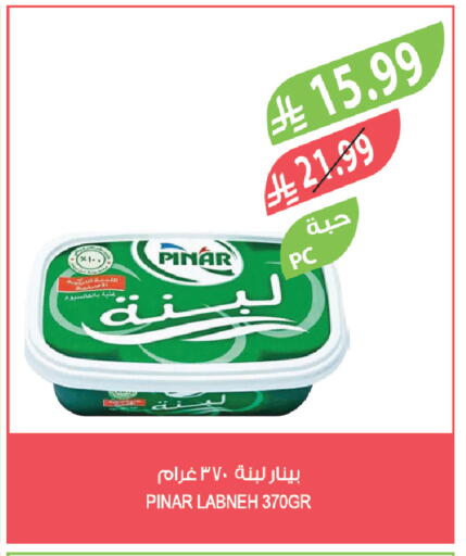 available at المزرعة in مملكة العربية السعودية, السعودية, سعودية - تبوك
