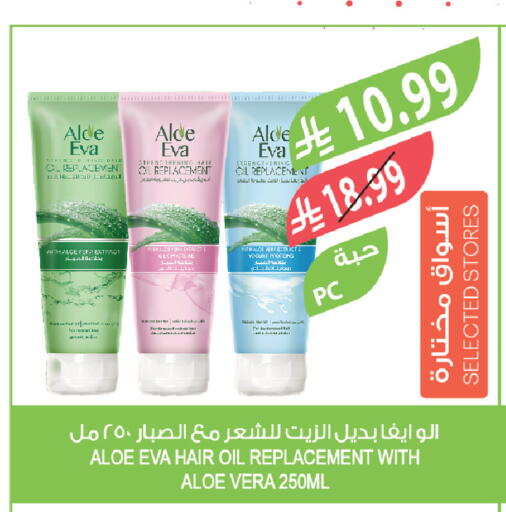 available at المزرعة in مملكة العربية السعودية, السعودية, سعودية - تبوك