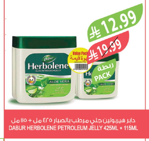 available at المزرعة in مملكة العربية السعودية, السعودية, سعودية - تبوك