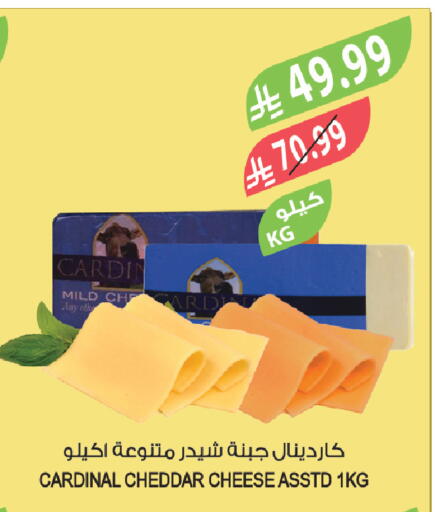 available at المزرعة in مملكة العربية السعودية, السعودية, سعودية - تبوك