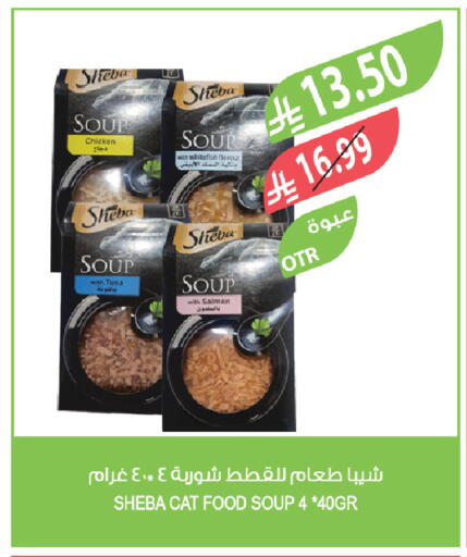 available at المزرعة in مملكة العربية السعودية, السعودية, سعودية - تبوك