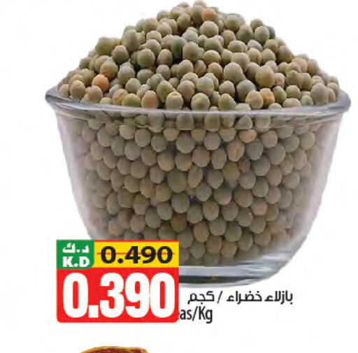 Mango available at مانجو هايبرماركت in الكويت - محافظة الأحمدي