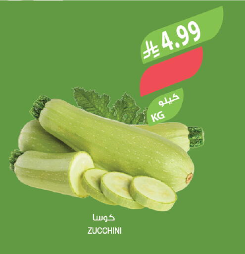 Zucchini available at المزرعة in مملكة العربية السعودية, السعودية, سعودية - تبوك