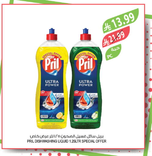 available at المزرعة in مملكة العربية السعودية, السعودية, سعودية - تبوك