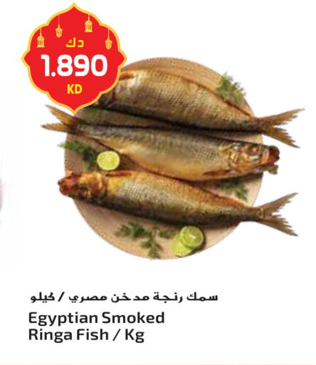 available at Grand Hyper in Kuwait - Ahmadi Governorate