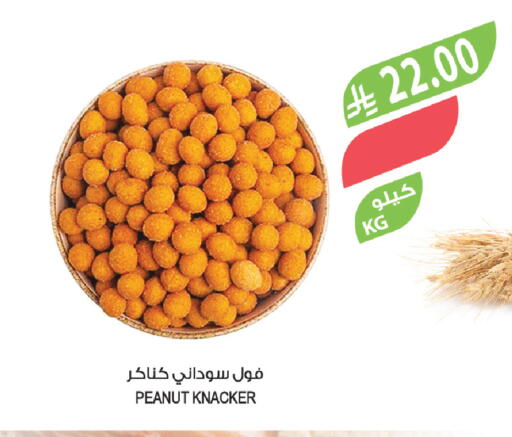 available at المزرعة in مملكة العربية السعودية, السعودية, سعودية - تبوك